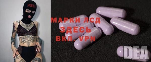 стафф Новозыбков