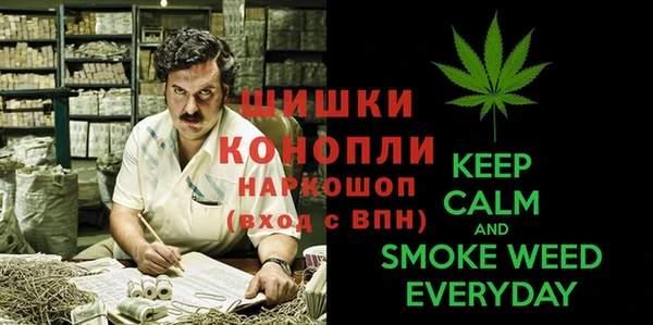стафф Новозыбков