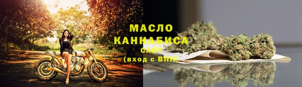 стафф Новозыбков