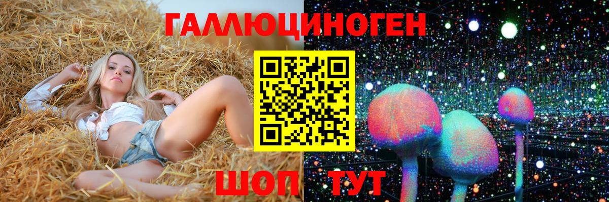Псилоцибиновые грибы MAGIC MUSHROOMS  Вход с VPN  Новороссийск 