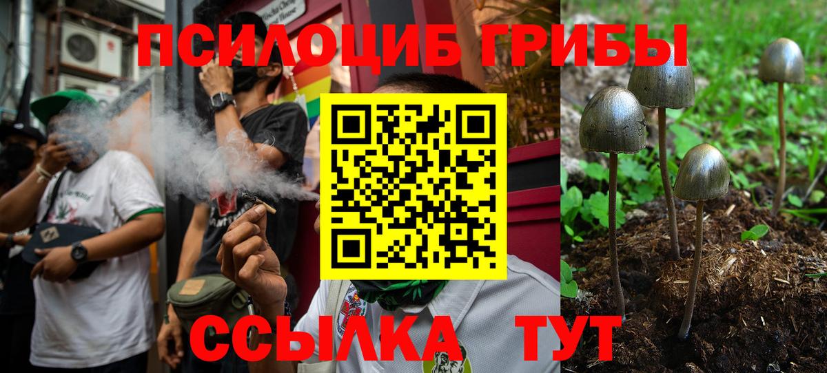 Псилоцибиновые грибы GOLDEN TEACHER Новороссийск